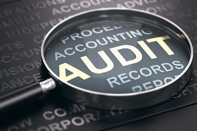 lupa powiększająca słowo audit